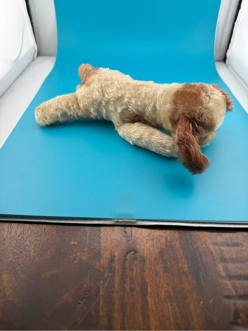 steiff soft brown